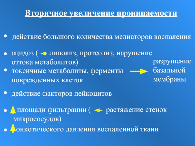 Как увеличить проницаемость. Увеличение пористости. Повышение проницаемости. Вторичный рост.