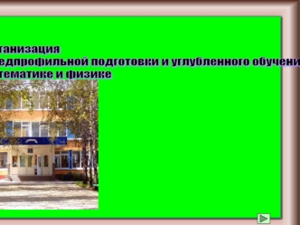 П рофильное обучение в старших классах, ориентированно на индивидуализацию обучения и социализацию обучающихся (с учетом реальных потребностей рын­ка.