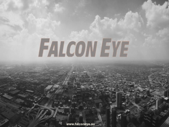 Домофоны Falcon Eye