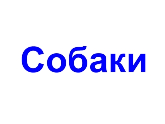 Собаки