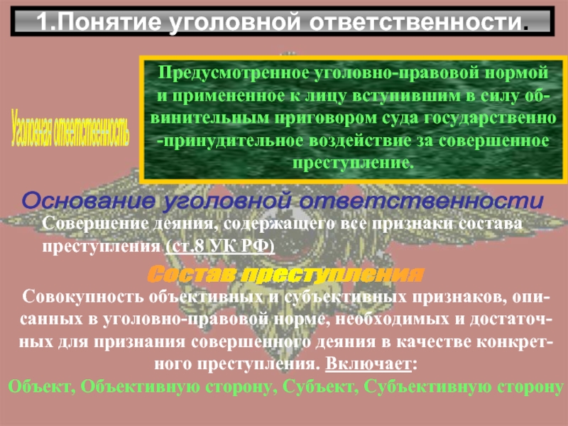 Специальные уголовно правовые нормы. Понятие уголовно правовая ответственность. Понятие и виды уголовно-правовых норм. Понятие уголовно-правовой нормы. Нормы уголовной ответственности.