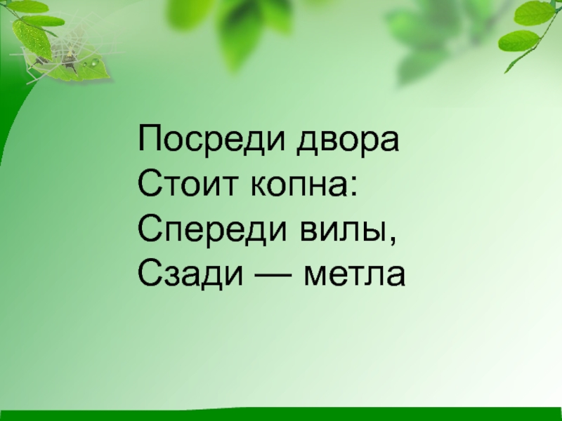 Правда ли что растение. Заплелись густые травы Закудрявились Луга. Заплелись густые травы. Мордочка усатая шубка полосатая часто умывается а с водой не знается. Загадка спереди вилы сзади метла.