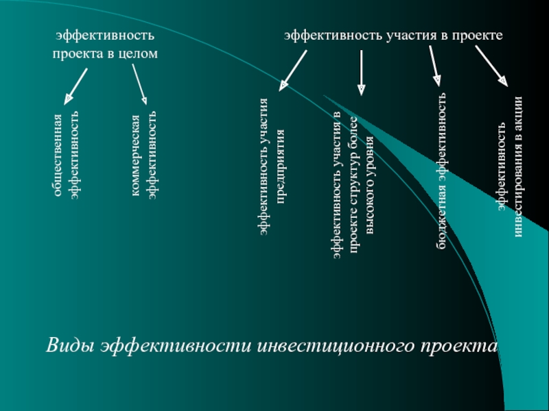 Общественная эффективность проекта это