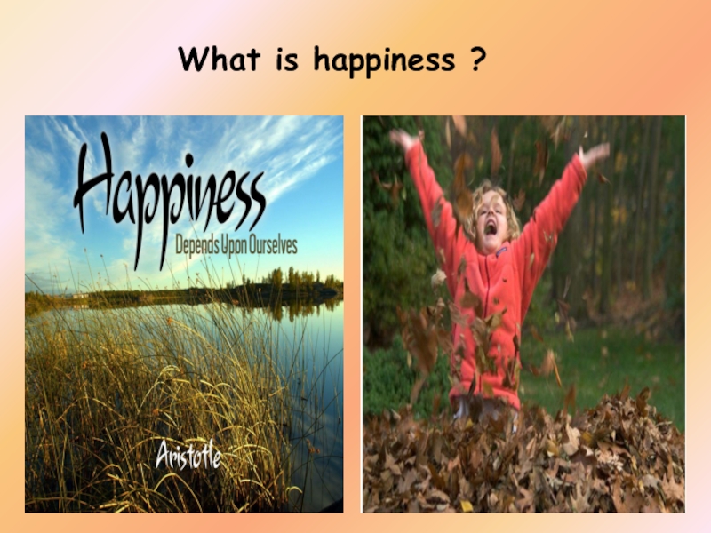 Реферат: What Is Happiness And Is Our Own