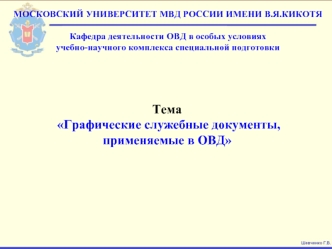 Графические служебные документы, применяемые в ОВД