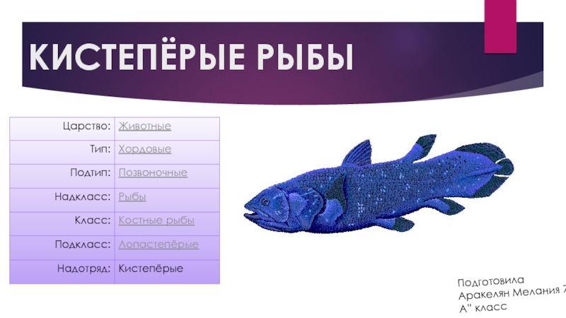 Рыба 7. Классификация кистеперых рыб. Кистеперые рыбы систематика. Латимерия систематика. Кистепёрые рыбы презентация.