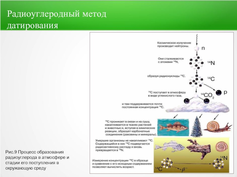 Метод радиоуглеродного анализа презентация