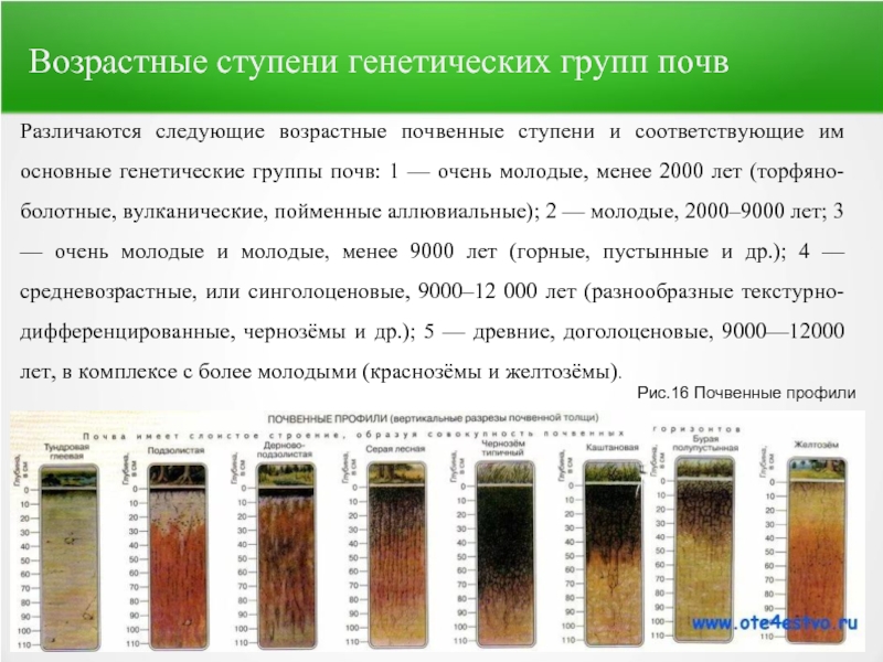 Стандартный образец почвы