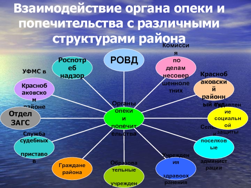 Взаимодействие органов. Взаимодействие с органами опеки и попечительства. Структура органов опеки и попечительства схема. Роль органов опеки и попечительства. Межведомственное взаимодействие органов опеки и попечительства.