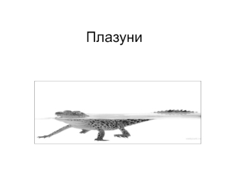 Плазуни. Ознаки-переваги, які мають плазуни, порівняно із земноводними