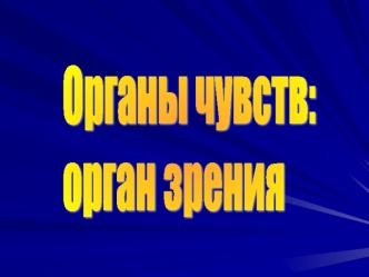 Органы чувств. Орган зрения