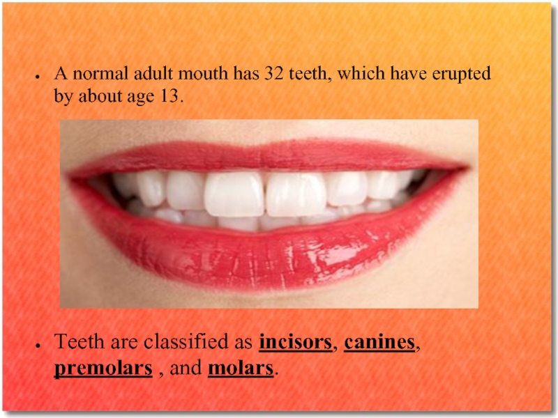 A normal adult mouth has 32 teeth, which have erupted by about age 13. 