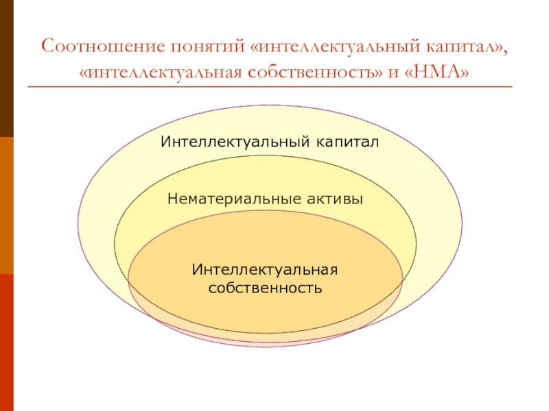 Идея проекта это интеллектуальный капитал