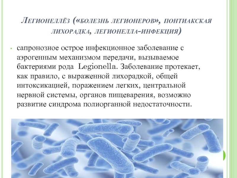 Легионеллез презентация инфекционные болезни