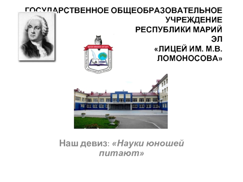 Сайт лицей ломоносова