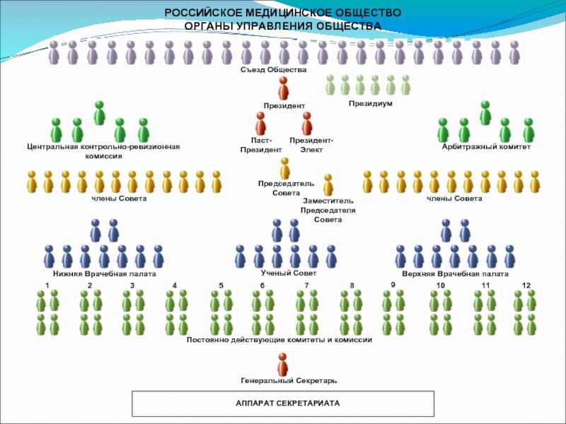 Медицинское общество. Российское медицинское общество. Русское медицинское общество.