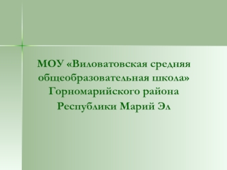 МОУ Виловатовская средняя общеобразовательная школа Горномарийского района Республики Марий Эл