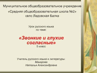 Муниципальное общеобразовательное учреждение Средняя общеобразовательная школа №2 село Ладовская Балка