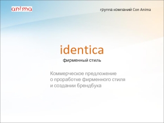 identicaфирменный стиль