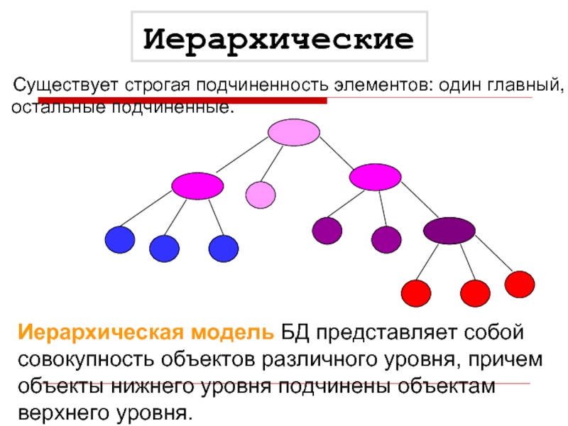 Иерархическая модель данных презентация