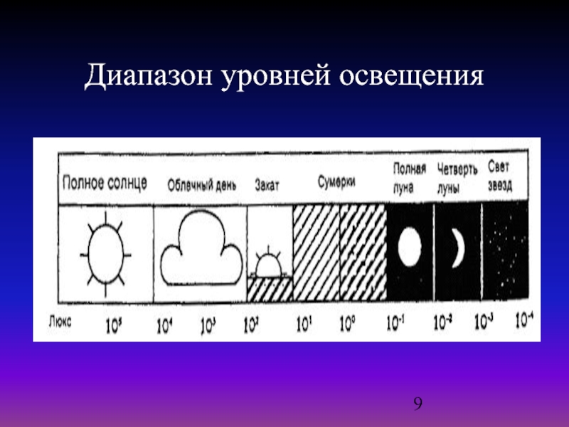 Уровень света. Уровень освещения 9. Паритет уровня света.