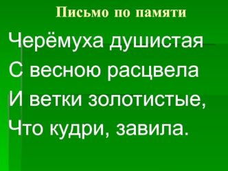 Черёмуха душистая
С весною расцвела
И ветки золотистые,
Что кудри, завила.