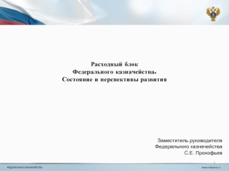 Расходный блок Федерального казначейства. Состояние и перспективы развития