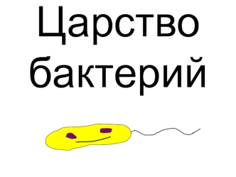 Царство бактерий