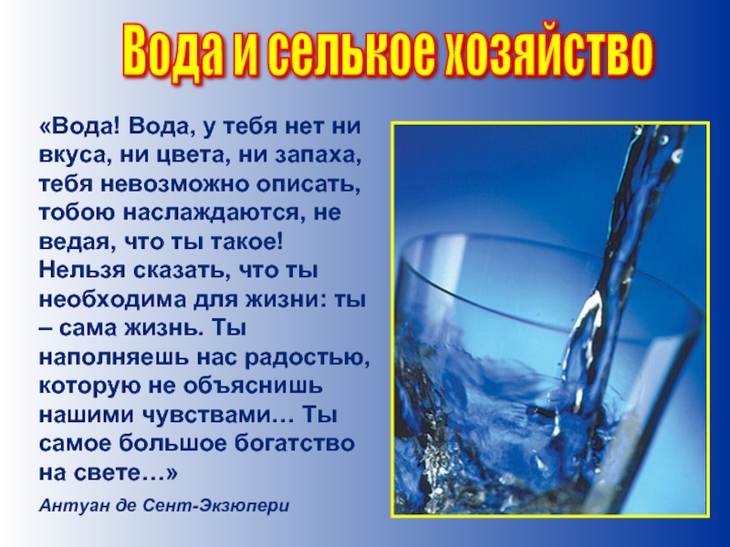 Вода ты сама жизнь проект