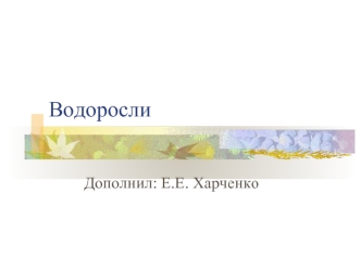 Водоросли