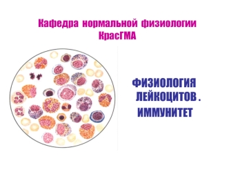 Физиология лейкоцитов. Иммунитет