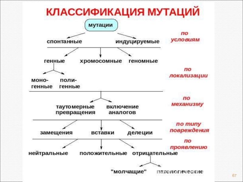 Виды мутаций схемы