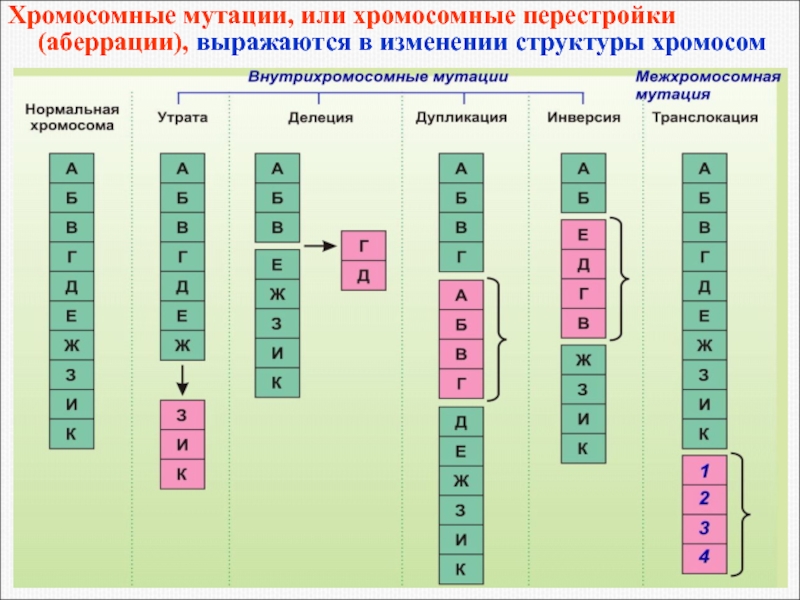 Виды мутаций схемы