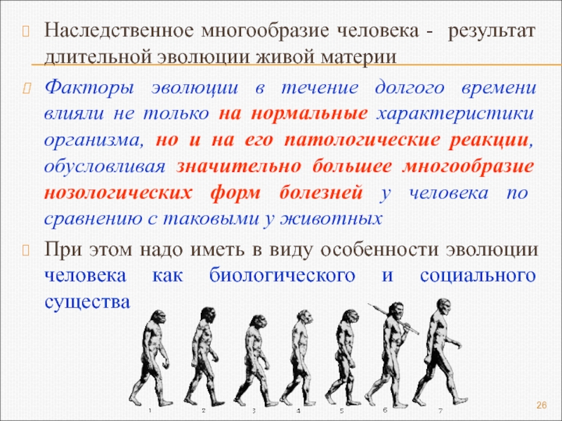 Результаты человеческих. Генетическое разнообразие человека. Наследственное разнообразие. Наследственное развитие человека. Генетическое разнообразие факторы.