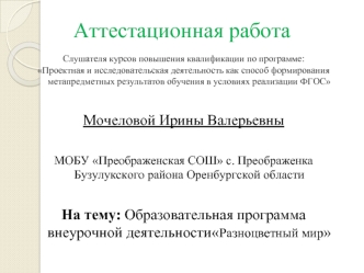 Образовательная программа внеурочной деятельности Разноцветный мир