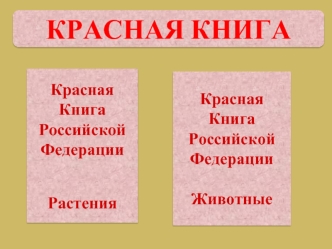 КРАСНАЯ КНИГА