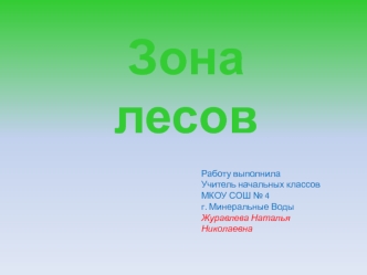 Зона лесов расположена в умеренном поясе