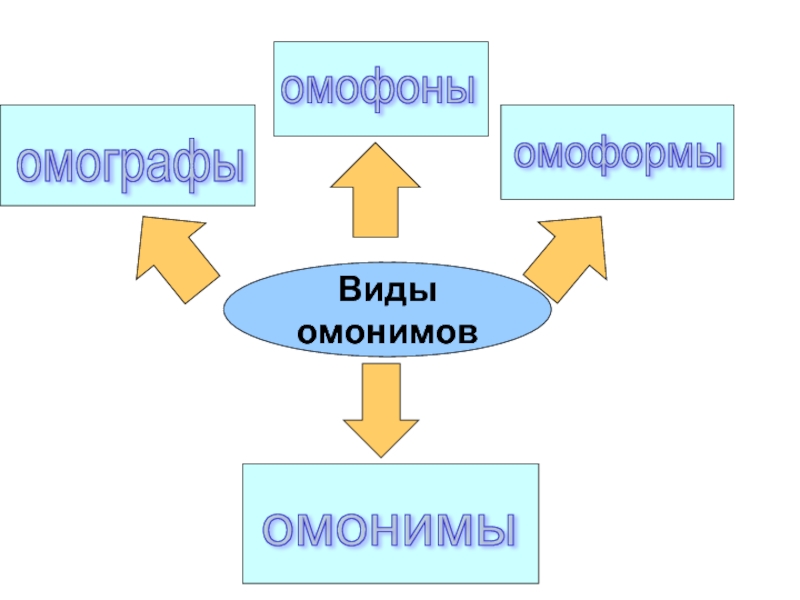 Омофоны омографы омоформы