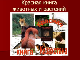Красная книга животных и растений