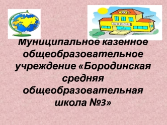 Муниципальное казенное общеобразовательное учреждение Бородинская средняя общеобразовательная школа №3