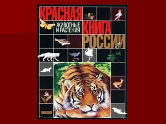 Красная книга Учёные мира в 1966 году создали Международный союз охраны природы, который стал изучать, каким растениям и животным надо помочь в первую.