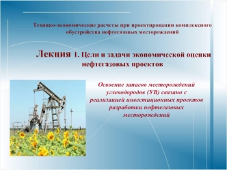 Цели и задачи экономической оценки нефтегазовых проектов