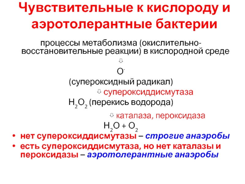 Окислительно восстановительные кислородом. Аэротолерантные микроорганизмы. Аэротолерантные анаэробы. Пероксидаза реакция. Пероксидазы бактерий.