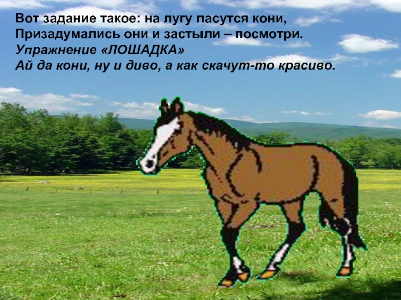Лошадь красивые слова. Упражнение лошадка. Молодая лошадь слова. Красивая надпись на лугу лошади. Текст про лошадей.