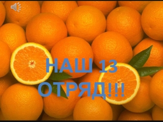 Наш 13 отряд