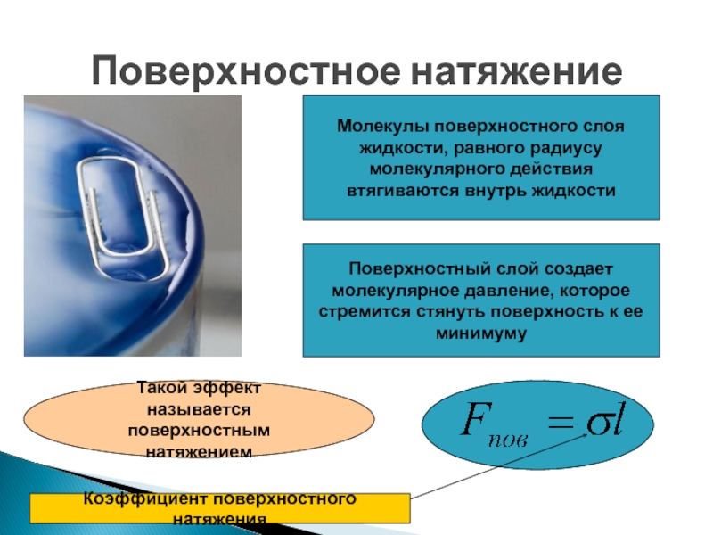 Особенности строения жидкостей. Молекулярное давление поверхностного слоя. Давление поверхностного натяжения. Молекулярное давление в жидкости. Поверхностное натяжение молекулы поверхностного слоя.