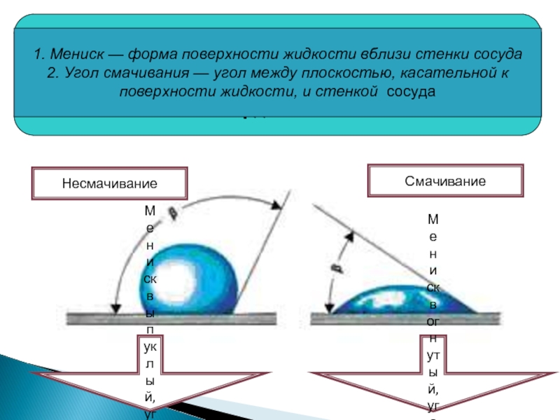 Явление смачивания и несмачивания