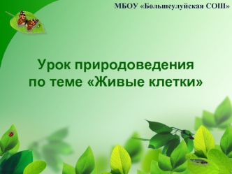 Урок природоведенияпо теме Живые клетки