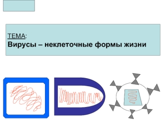 ТЕМА:   
Вирусы – неклеточные формы жизни