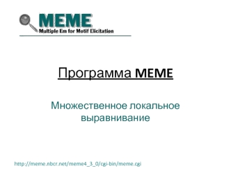 Программа MEME